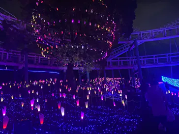 ひらかたパークに投稿された画像（2022/3/20）