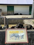 東武動物公園に投稿された画像（2022/3/20）