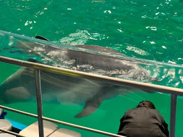 マクセル アクアパーク品川に投稿された画像（2022/3/20）