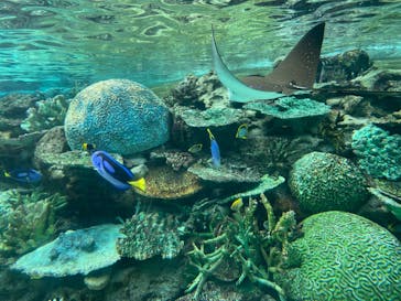 名古屋港水族館に投稿された画像（2022/3/20）