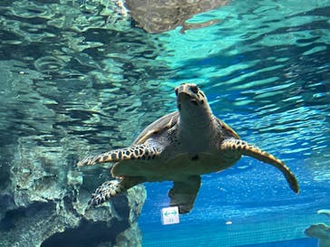 名古屋港水族館に投稿された画像（2022/3/20）