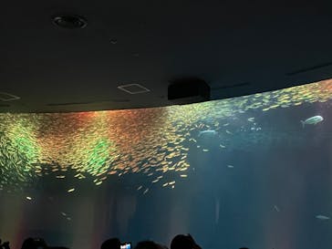 名古屋港水族館に投稿された画像（2022/3/20）