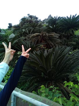 アスムイハイクスに投稿された画像（2022/3/20）