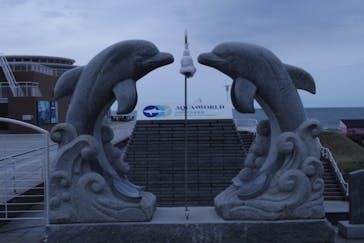 アクアワールド茨城県大洗水族館に投稿された画像（2022/3/20）