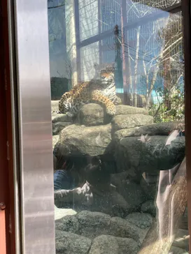 天王寺動物園に投稿された画像（2022/3/20）
