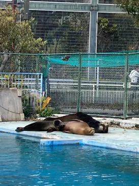 天王寺動物園に投稿された画像（2022/3/20）