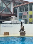 伊豆・三津シーパラダイスに投稿された画像（2022/3/20）