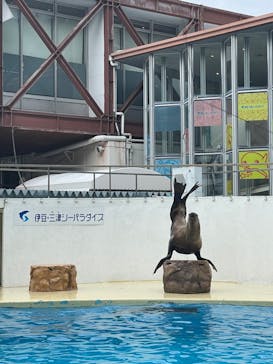 伊豆・三津シーパラダイスに投稿された画像（2022/3/20）
