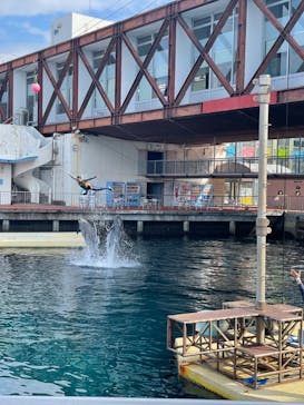 伊豆・三津シーパラダイスに投稿された画像（2022/3/20）