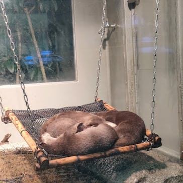 サンシャイン水族館に投稿された画像（2022/3/20）