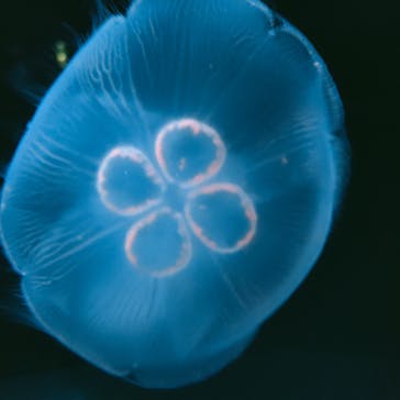 サンシャイン水族館に投稿された画像（2022/3/20）