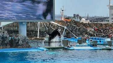 名古屋港水族館に投稿された画像（2022/3/20）