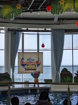 アクアワールド茨城県大洗水族館に投稿された画像（2022/3/20）