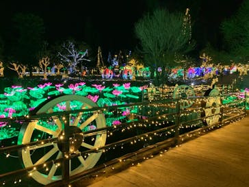 美らヤシパークオキナワ・東南植物楽園に投稿された画像（2022/3/20）