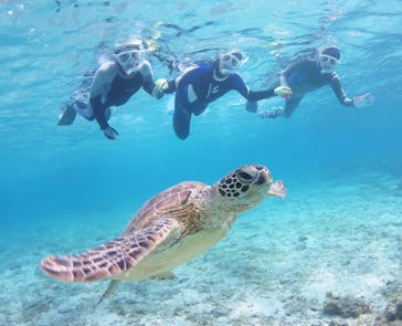 アマミエンシスに投稿された画像（2022/3/20）