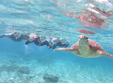 アマミエンシスに投稿された画像（2022/3/20）