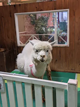 ひらかたパークに投稿された画像（2022/3/20）