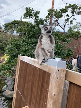 神戸どうぶつ王国に投稿された画像（2022/3/20）