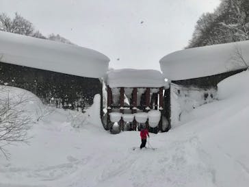 白馬コルチナスキー場に投稿された画像（2022/3/20）