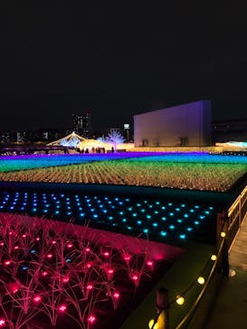 東京メガイルミに投稿された画像（2022/3/20）