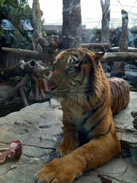 神戸どうぶつ王国に投稿された画像（2022/3/20）