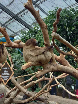 神戸どうぶつ王国に投稿された画像（2022/3/20）