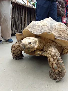 神戸どうぶつ王国に投稿された画像（2022/3/20）