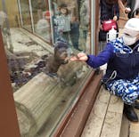 横浜・八景島シーパラダイスに投稿された画像（2022/3/21）