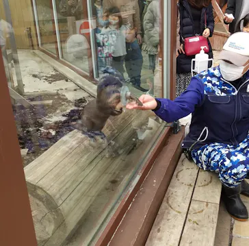 横浜・八景島シーパラダイスに投稿された画像（2022/3/20）