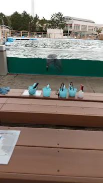 横浜・八景島シーパラダイスに投稿された画像（2022/3/20）