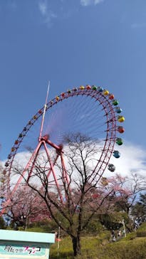 西武園ゆうえんちに投稿された画像（2022/3/20）