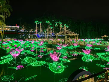 美らヤシパークオキナワ・東南植物楽園に投稿された画像（2022/3/20）