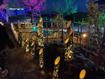 せんだい農業園芸センター　みどりの杜に投稿された画像（2022/3/20）