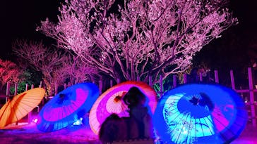 せんだい農業園芸センター　みどりの杜に投稿された画像（2022/3/20）