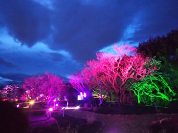 せんだい農業園芸センター　みどりの杜に投稿された画像（2022/3/20）