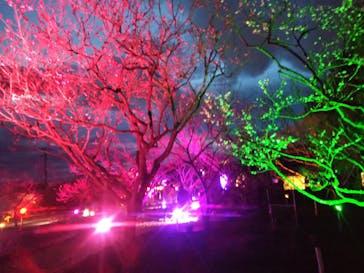 せんだい農業園芸センター　みどりの杜に投稿された画像（2022/3/20）