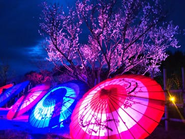 せんだい農業園芸センター　みどりの杜に投稿された画像（2022/3/20）