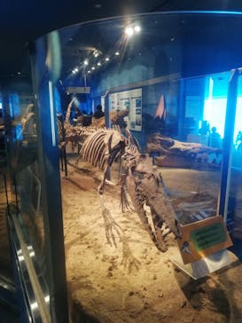 名古屋港水族館に投稿された画像（2022/3/20）