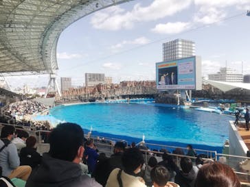 名古屋港水族館に投稿された画像（2022/3/20）