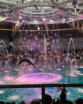 マクセル アクアパーク品川に投稿された画像（2022/3/21）