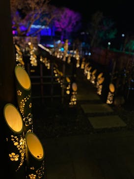 せんだい農業園芸センター　みどりの杜に投稿された画像（2022/3/21）