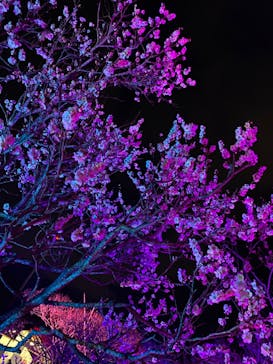 せんだい農業園芸センター　みどりの杜に投稿された画像（2022/3/21）