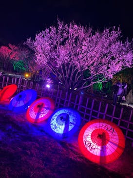 せんだい農業園芸センター　みどりの杜に投稿された画像（2022/3/21）