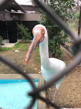 天王寺動物園に投稿された画像（2022/3/21）