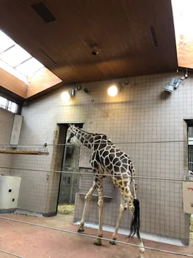 天王寺動物園に投稿された画像（2022/3/21）