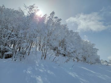 志賀高原中央エリアスキー場に投稿された画像（2022/3/21）