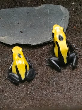 サンシャイン水族館に投稿された画像（2022/3/21）