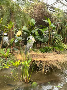 神戸どうぶつ王国に投稿された画像（2022/3/21）