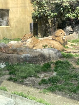 東武動物公園に投稿された画像（2022/3/21）