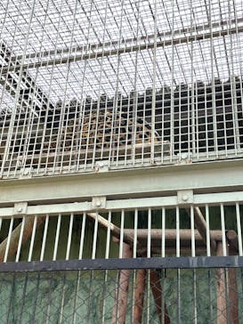 東武動物公園に投稿された画像（2022/3/21）